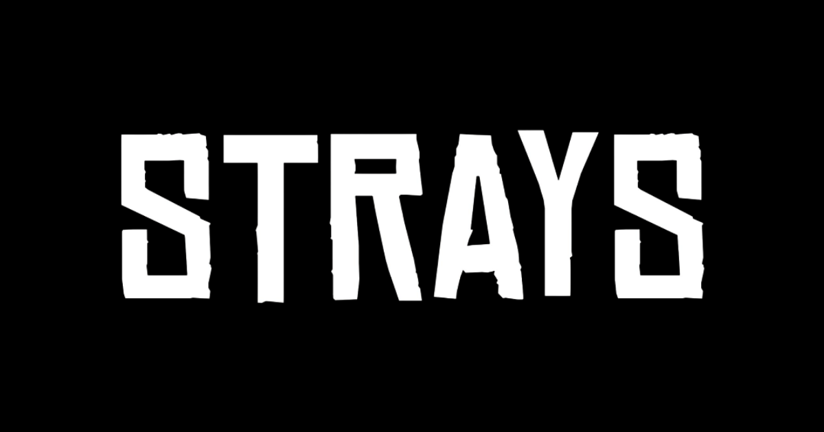 Strays Add Strays | Boosted | Crowdfunding Arts in New Zealand